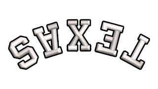 TEXAS logo