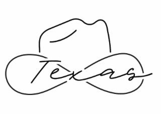 TEXAS logo