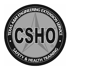 TEXAS A&M ENGINEERING EXTENSION SERVICECSHO SAFETY & HEALTH TRAINING logo