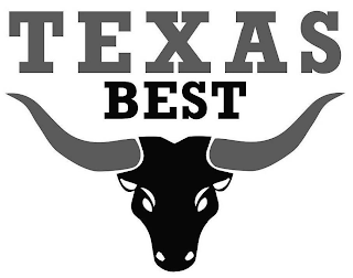 TEXAS BEST logo