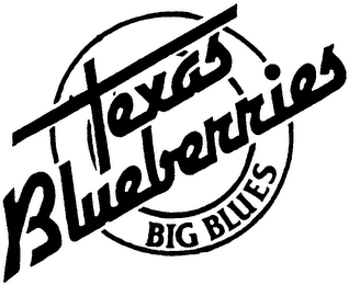 TEXAS BLUBERRIES BIG BLUES logo