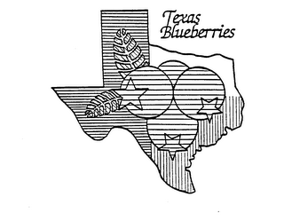 TEXAS BLUEBERRIES logo