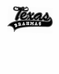 TEXAS BRAHMAS logo