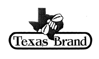 TEXAS BRAND logo