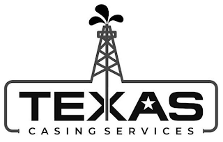 TEXAS CASING SERVICES logo