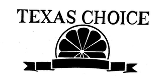 TEXAS CHOICE logo