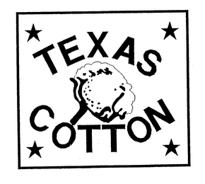 TEXAS COTTON logo