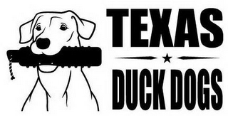 TEXAS DUCK DOGS logo
