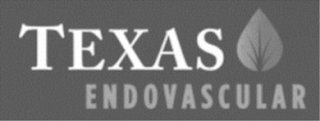 TEXAS ENDOVASCULAR logo