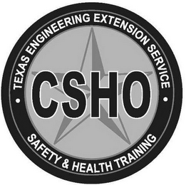TEXAS ENGINEERING EXTENSION SERVICE CSHO SAFETY & HEALTH TRAINING logo