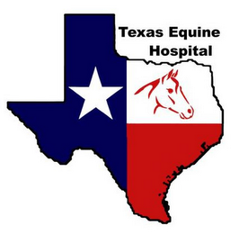 TEXAS EQUINE HOSPITAL logo