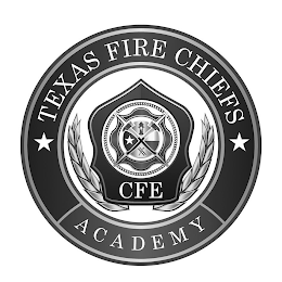 TEXAS FIRE CHIEFS ACADEMY CFE logo