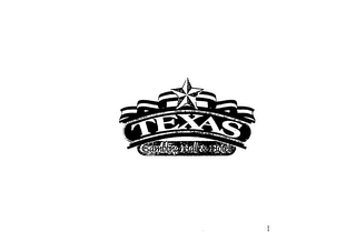 TEXAS GAMBLING HALL & HOTEL logo