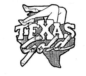 TEXAS GOLD logo