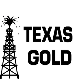 TEXAS GOLD logo