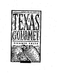 TEXAS GOURMET PICANTE SALSA logo
