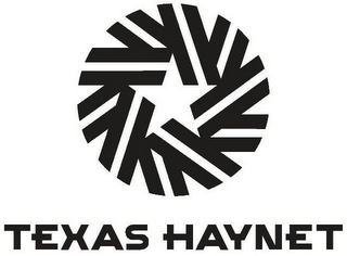 TEXAS HAYNET logo