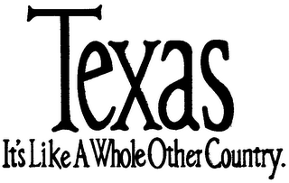 TEXAS IT'S LIKE A WHOLE OTHER COUNTRY. logo