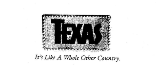 TEXAS IT'S LIKE A WHOLE OTHER COUNTRY. logo