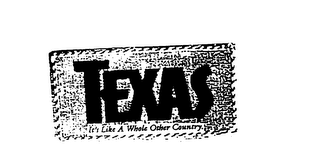 TEXAS IT'S LIKE A WHOLE OTHER COUNTRY logo