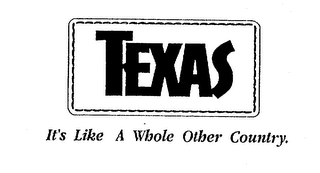 TEXAS IT'S LIKE A WHOLE OTHER COUNTRY. logo