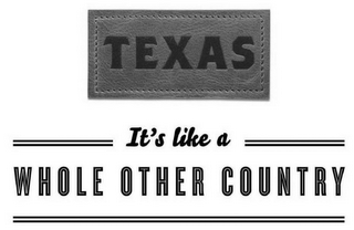 TEXAS IT'S LIKE A WHOLE OTHER COUNTRY logo