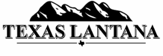 TEXAS LANTANA logo