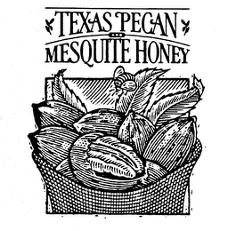 TEXAS PECAN AND MESQUITE HONEY logo
