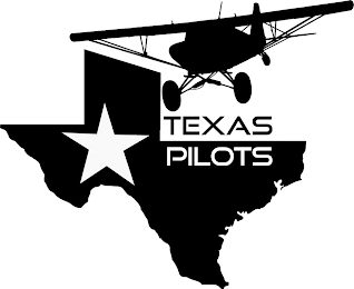 TEXAS PILOTS logo