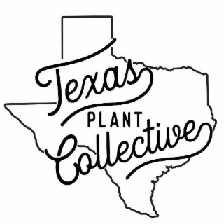 TEXAS PLANT COLLECTIVE logo