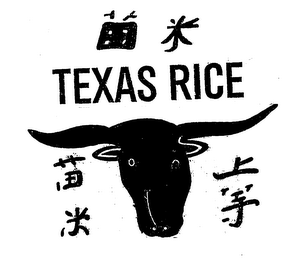 TEXAS RICE logo