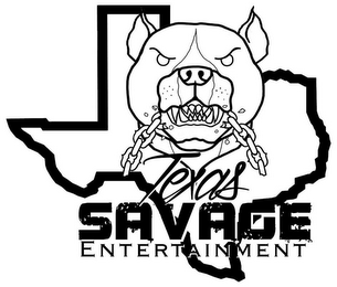 TEXAS SAVAGE ENTERTAINMENT logo