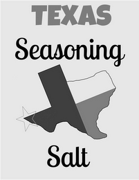 TEXAS SEASONING SALT logo
