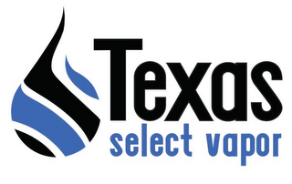 TEXAS SELECT VAPOR logo