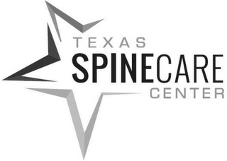 TEXAS SPINECARE CENTER logo