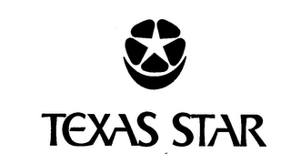 TEXAS STAR logo