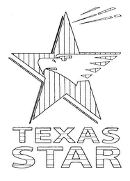 TEXAS STAR logo