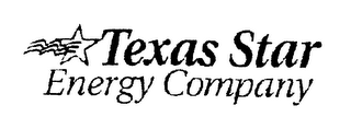 TEXAS STAR ENERGY COMPANY logo