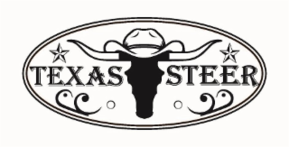 TEXAS STEER logo