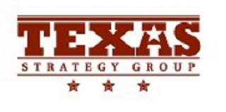 TEXAS STRATEGY GROUP logo