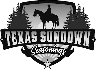 TEXAS SUNDOWN SEASONINGS logo