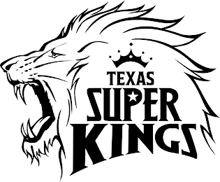 TEXAS SUPER KINGS logo