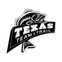 TEXAS TEAM TRAIL logo
