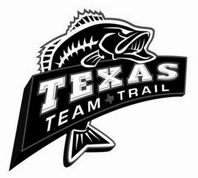 TEXAS TEAM TRAIL logo