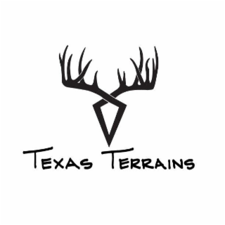 TEXAS TERRAINS logo