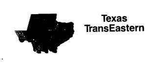 TEXAS TRANSEASTERN logo