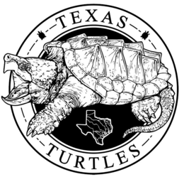 TEXAS TURTLES logo