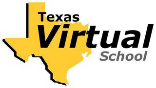 TEXAS VIRTUAL SCHOOL logo