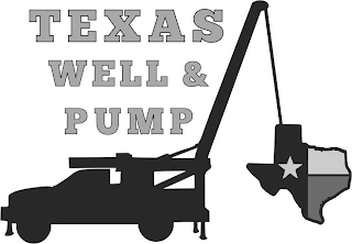 TEXAS WELL & PUMP logo