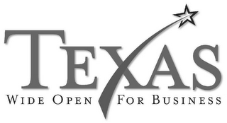 TEXAS WIDE OPEN FOR BUSINESS logo